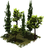 image for Group of trees decoration