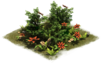 image for Hedge with flowers decoration